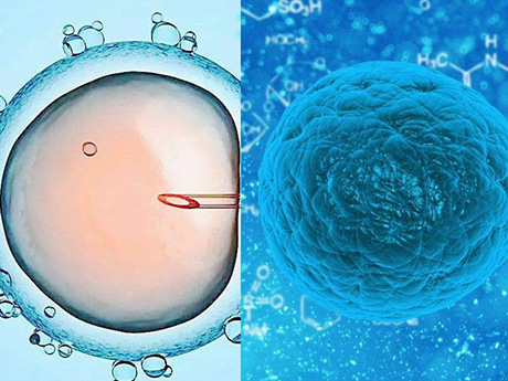 二代试管移植什么胚胎需根据患者身体情况决定