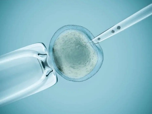 胚胎辅助孵化技术