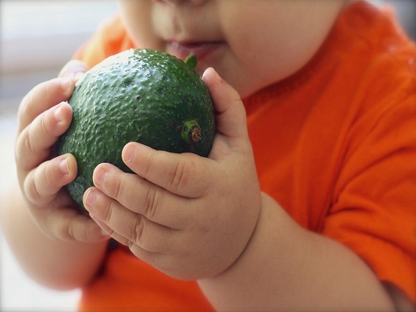 5个月宝宝舔水果对身体的危害比较大