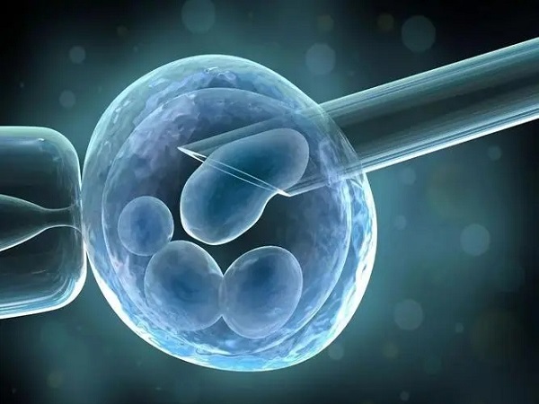 鲜胚移植对患者的身体要求是比较高的