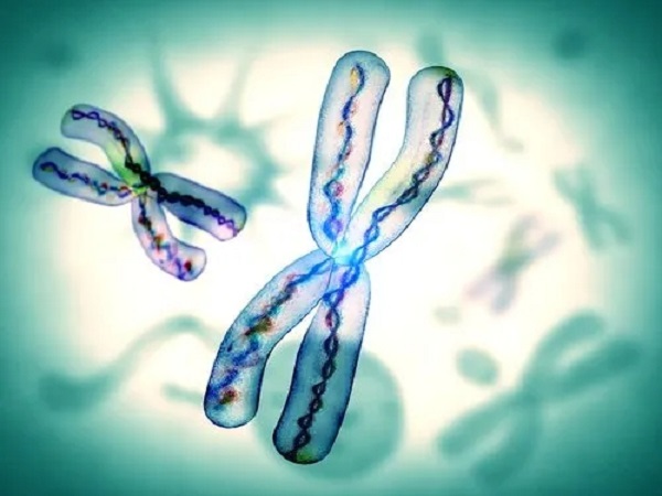 6号染色体异常相关疾病介绍，前三种很严重真不是吓唬你