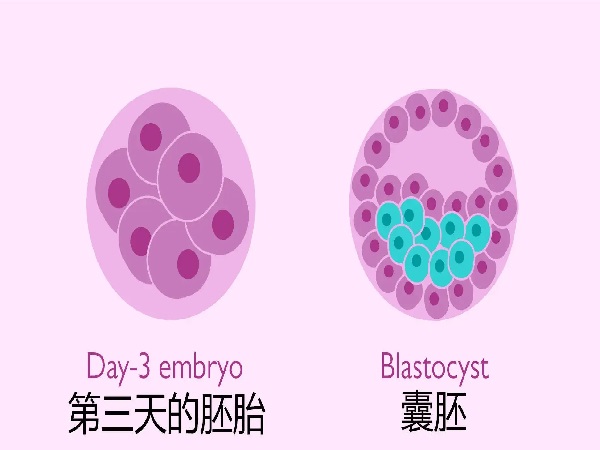 养囊的风险是非常大的