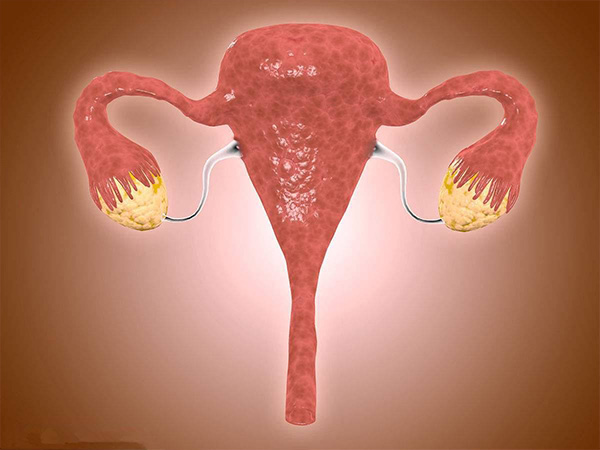 尽早治疗卵巢粘连可以提高移植成功率