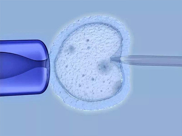 试管成功率主要看胚胎的质量