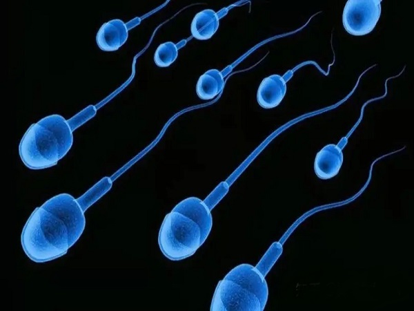 男性精子质量和受孕有关系