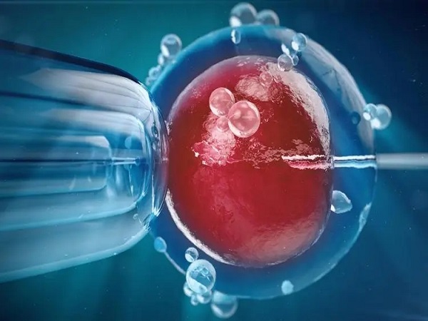 胚胎的质量和移植成功率有关系