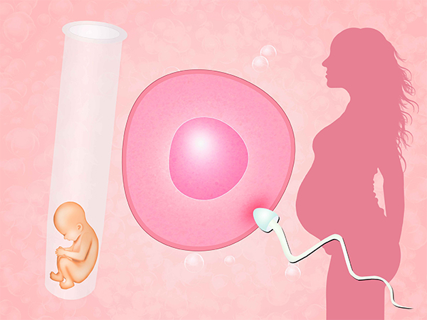 c型内膜移植后受孕的概率不高