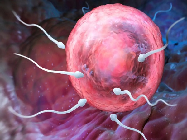 卵巢过度综合征对于胚胎着床有影响