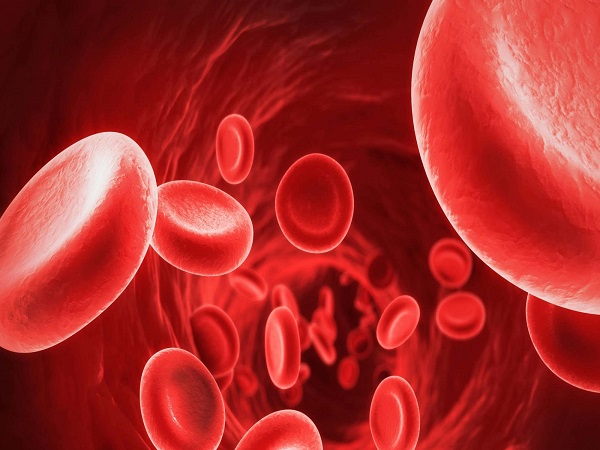 血友病是一种常见的遗传疾病