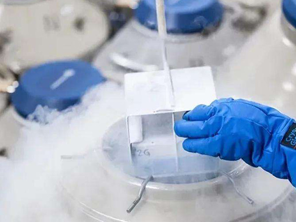 冷冻胚胎的细胞代谢处于静止状态