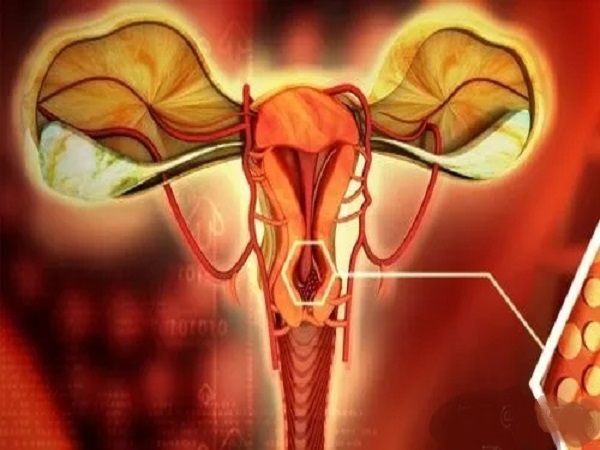 卵巢早衰会影响女性的生育力