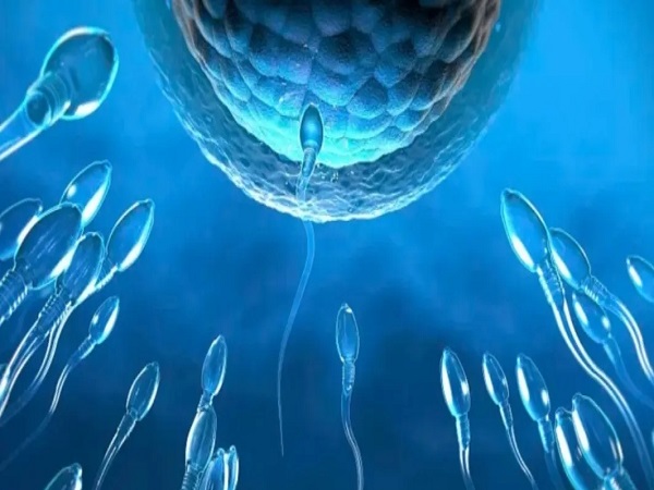 卵巢功能衰退的患者可以做试管