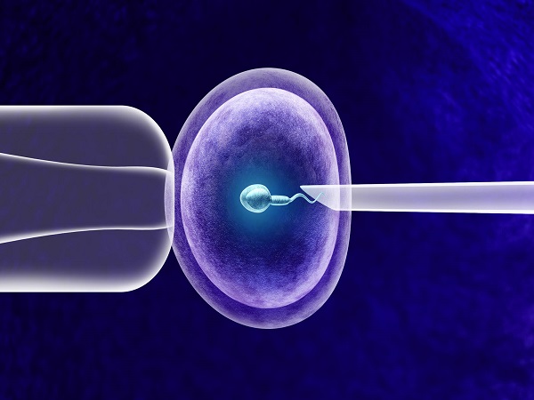 嵌合体胚胎能否移植和嵌合比例有关