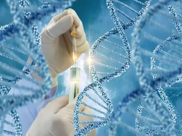 三代试管会在移植前进行胚胎的基因筛查