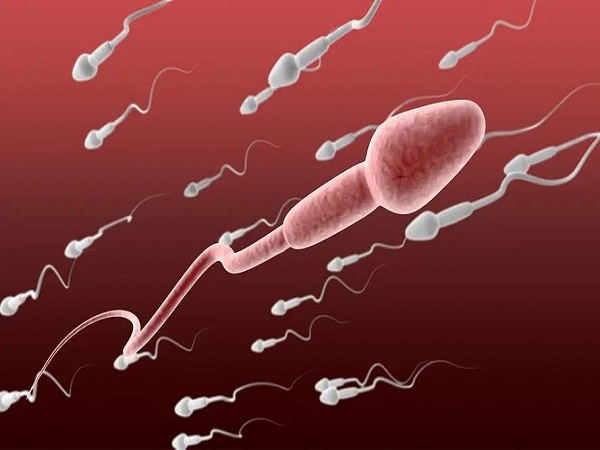 男性精子健康与否和受孕有关系