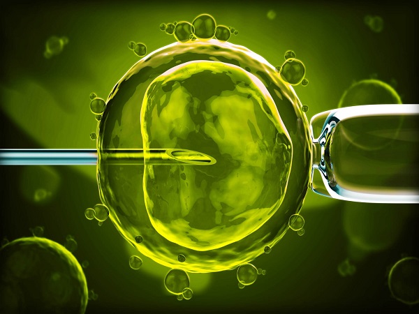 三代试管也被称为胚胎植入前遗传学诊断