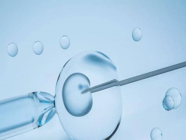三代试管一般采用的是囊胚移植