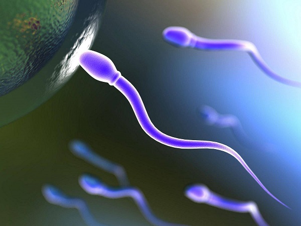 正常精子3%还是有机会怀上孩子的