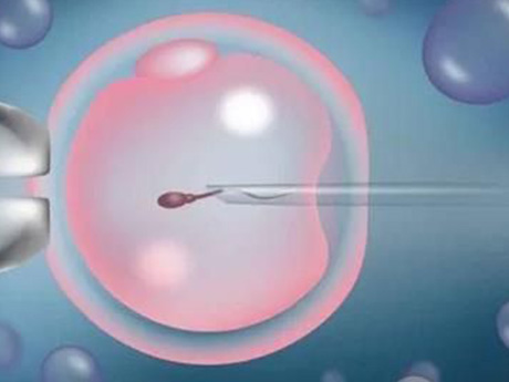 一般建议患者移植单个胚胎