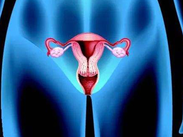 输卵管堵塞是导致不孕的主要因素