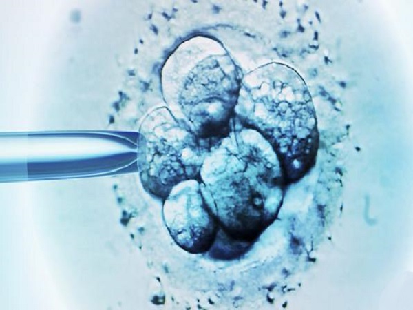 胚胎移植后并不意味着试管成功