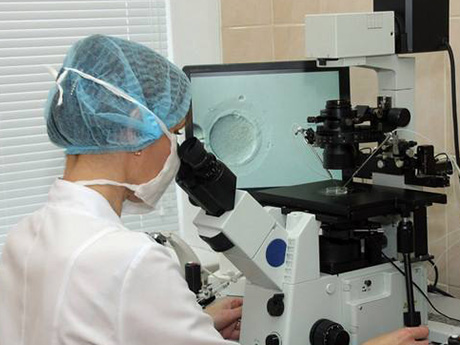 囊胚只能用显微镜观察