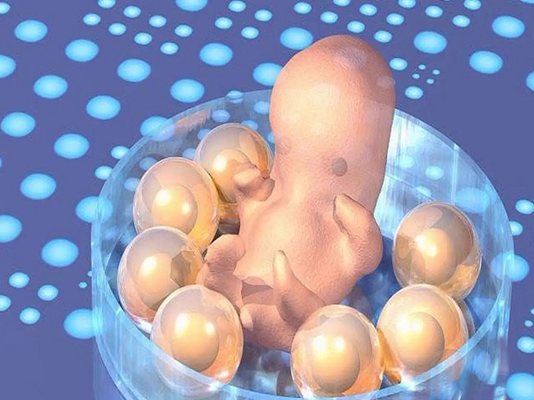 试管胚胎培养很关键