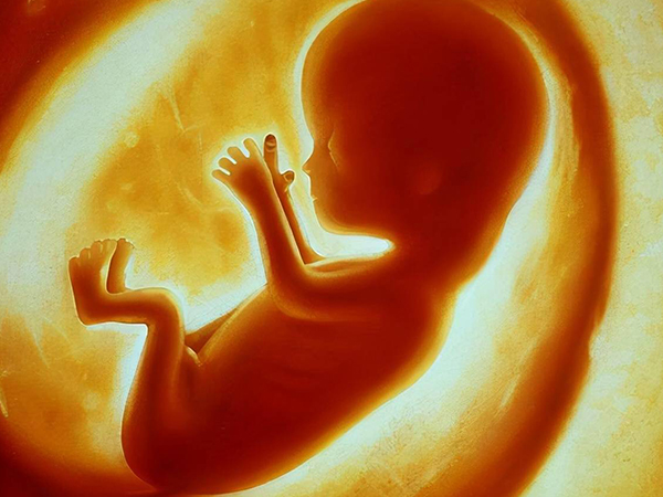 胎儿生长受限会导致孕周偏小
