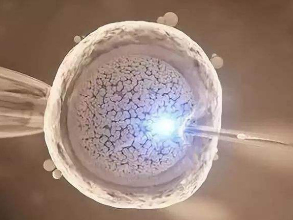 偶见活动精子符合第二代试管的适应症