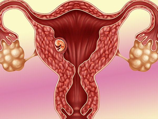 早期妊娠试验无阳性反应是正常现象