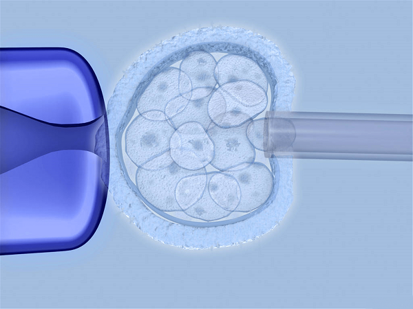 内膜和胚胎不同步对试管有影响