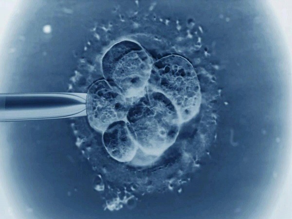 试管胚胎移植成功后也不要放松警惕