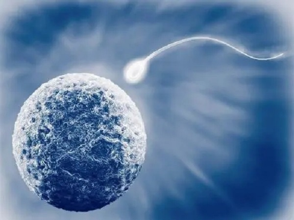 孕7周是胚胎停育的高峰期