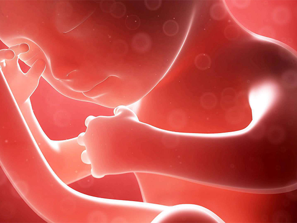 试管双胎妊娠一般36周左右就可以分娩