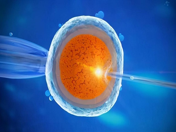 一代试管鲜胚移植失败，转二代希望大吗？