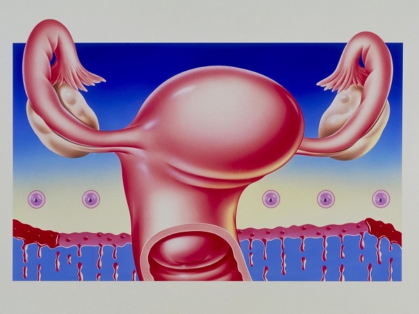 子宫内膜对于女性怀孕很重要
