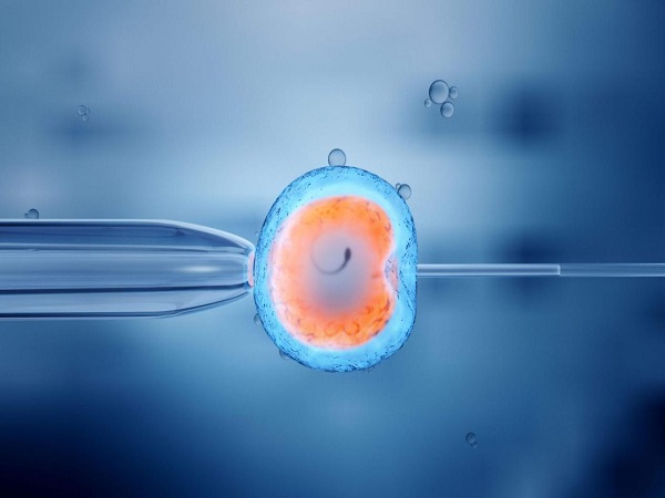 试管胚胎移植后也并不意味着成功