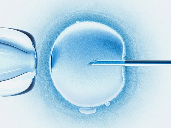 不同胚胎适合的移植时间不同