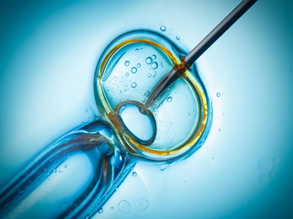 试管胚胎移植后也并不意味着结束