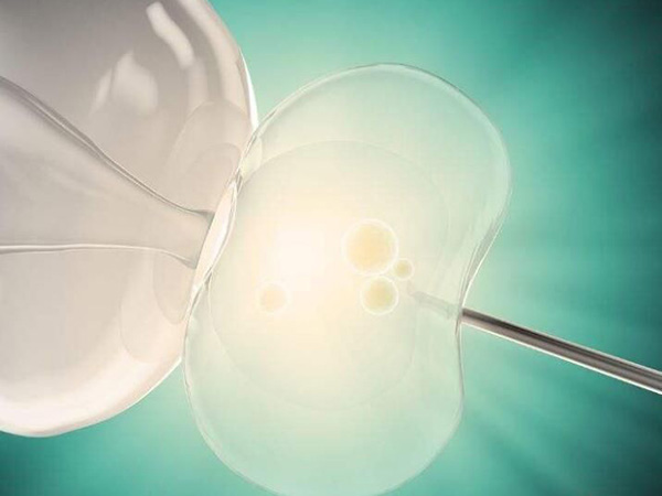 一次性放2-3个胚胎可以提高移植的成功率