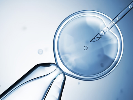 试管取卵后需要3到5天才能将受精卵培养成胚胎
