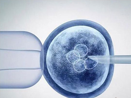 做试管婴儿期间长期用药可能影响卵子质量