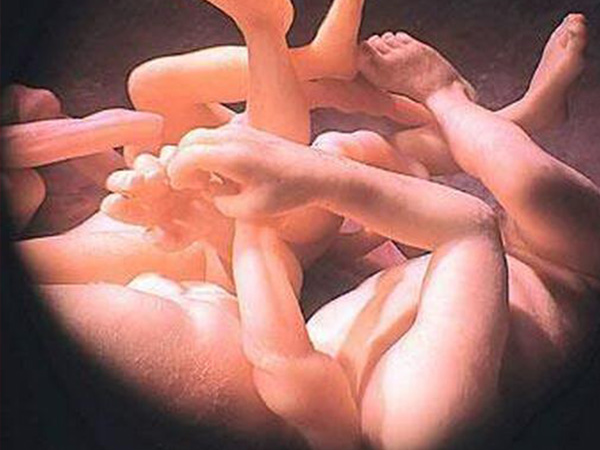 试管怀双胎属于高危妊娠