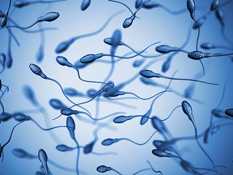 排精频繁精子的体积会减小