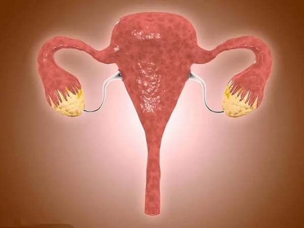 女性的年龄和卵巢功能好坏有关系