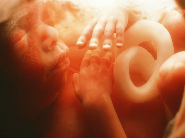 胎儿的生长发育需要稳定的宫内环境