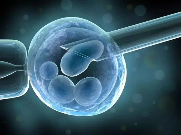 胚胎移植手术过程分享，从内膜准备到放入5个步骤就搞定-育儿密码