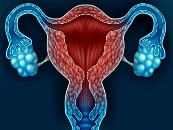 双侧卵巢卵泡个数的正常范围，只有两个是否异常一目了然-育儿密码