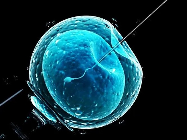 胚胎移植后需要做好护理