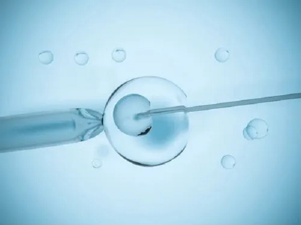 国内供胚胎试管婴儿是不合法的